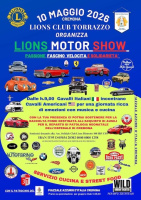 Lions Motor show